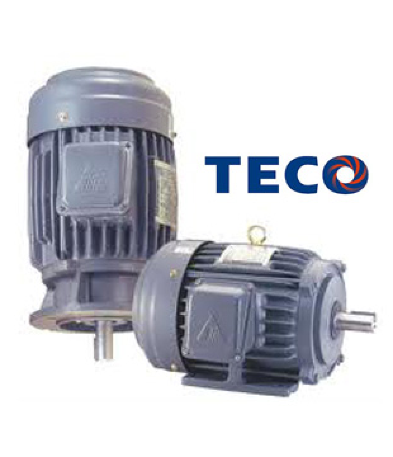 Giá động cơ điện, Motor hiệu TECO