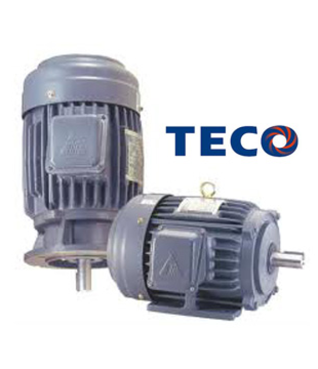 Giá động cơ điện, Motor hiệu TECO